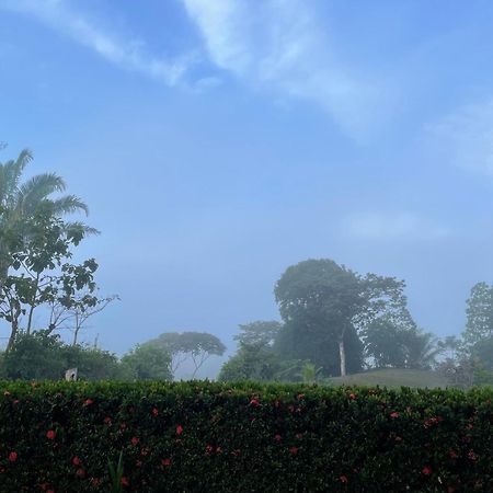 Valles Of Osa Palmar Sur ภายนอก รูปภาพ