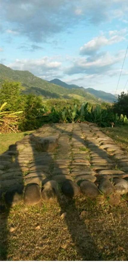 Valles Of Osa Palmar Sur ภายนอก รูปภาพ