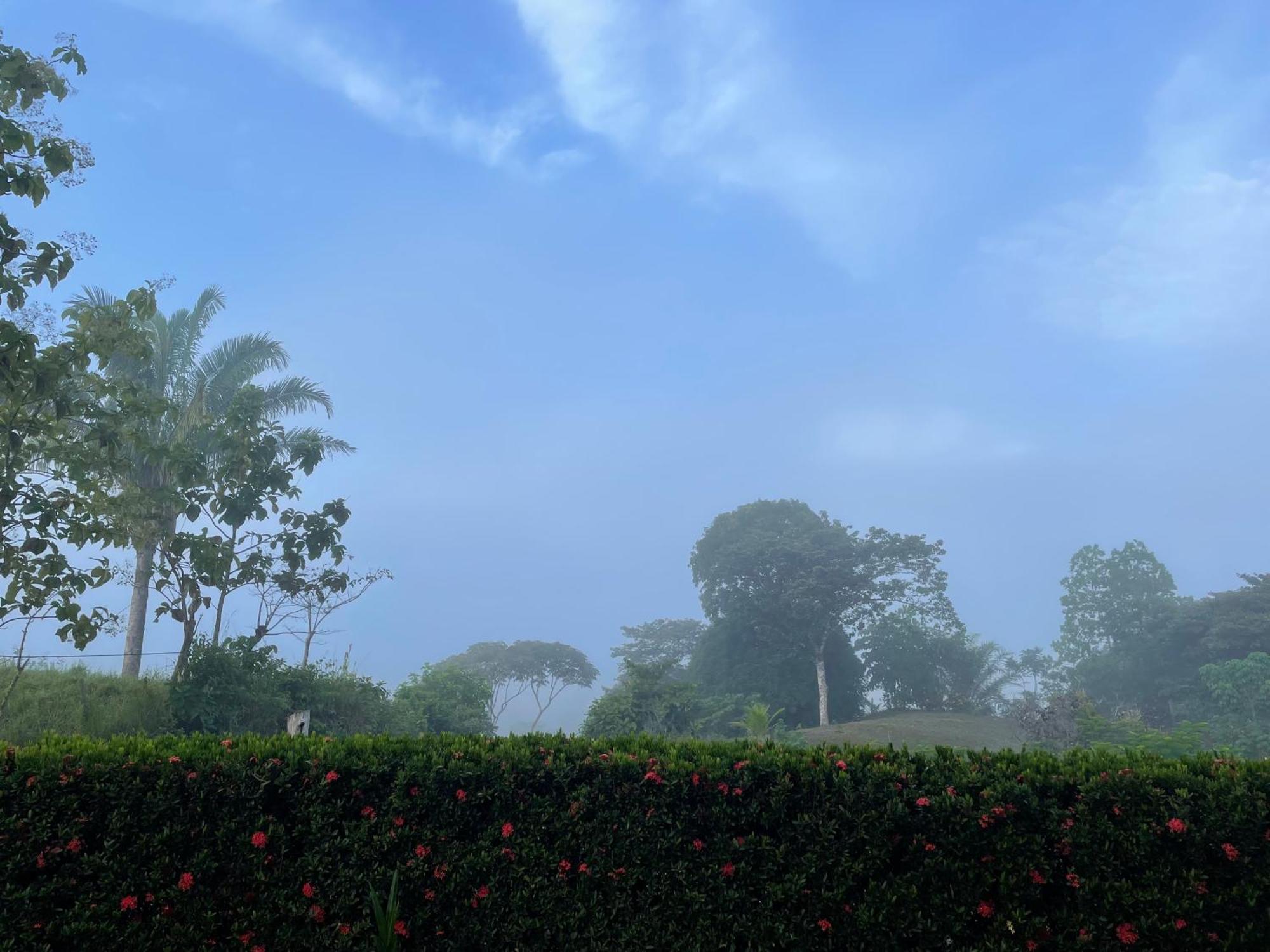 Valles Of Osa Palmar Sur ภายนอก รูปภาพ