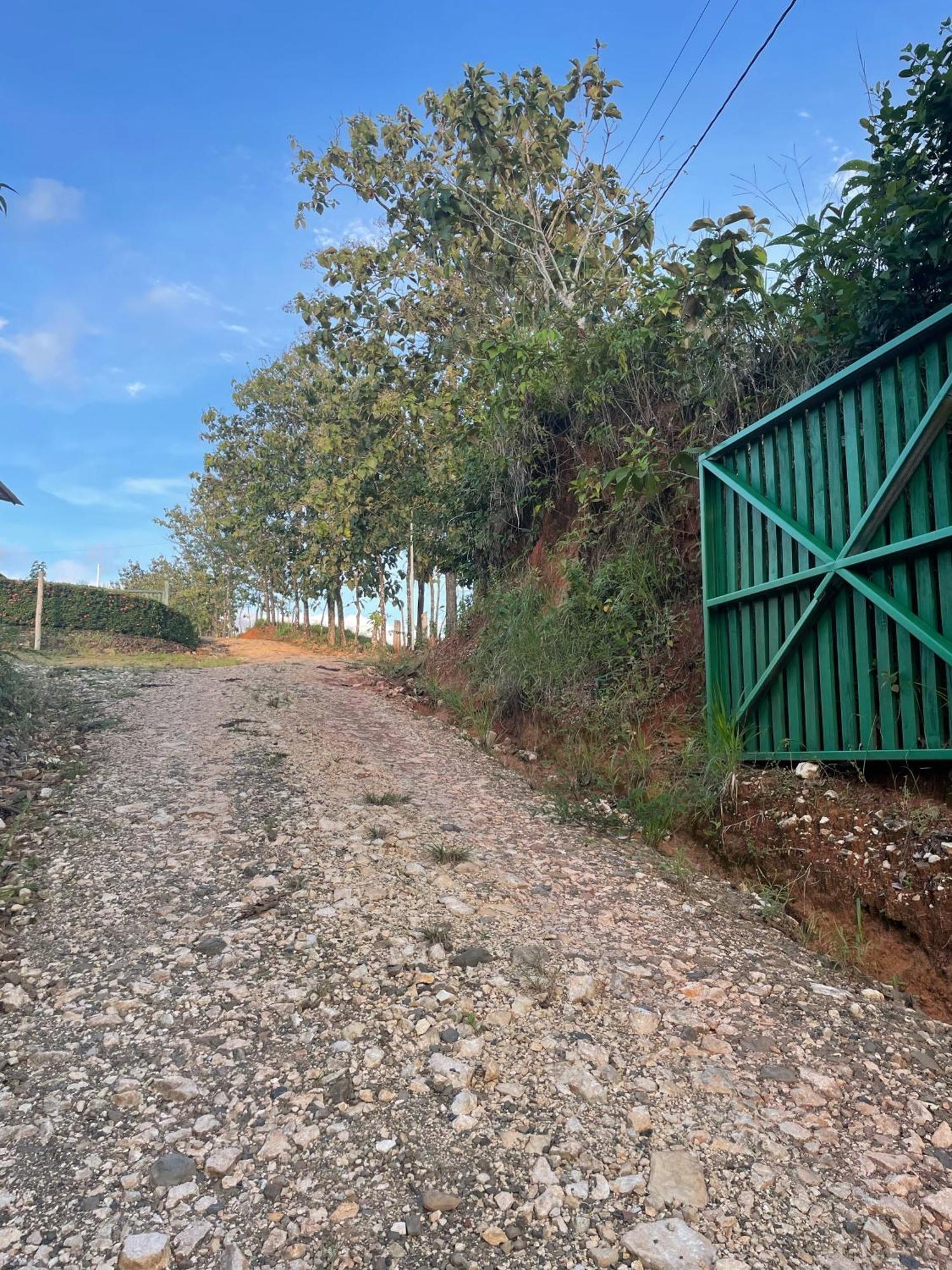 Valles Of Osa Palmar Sur ภายนอก รูปภาพ
