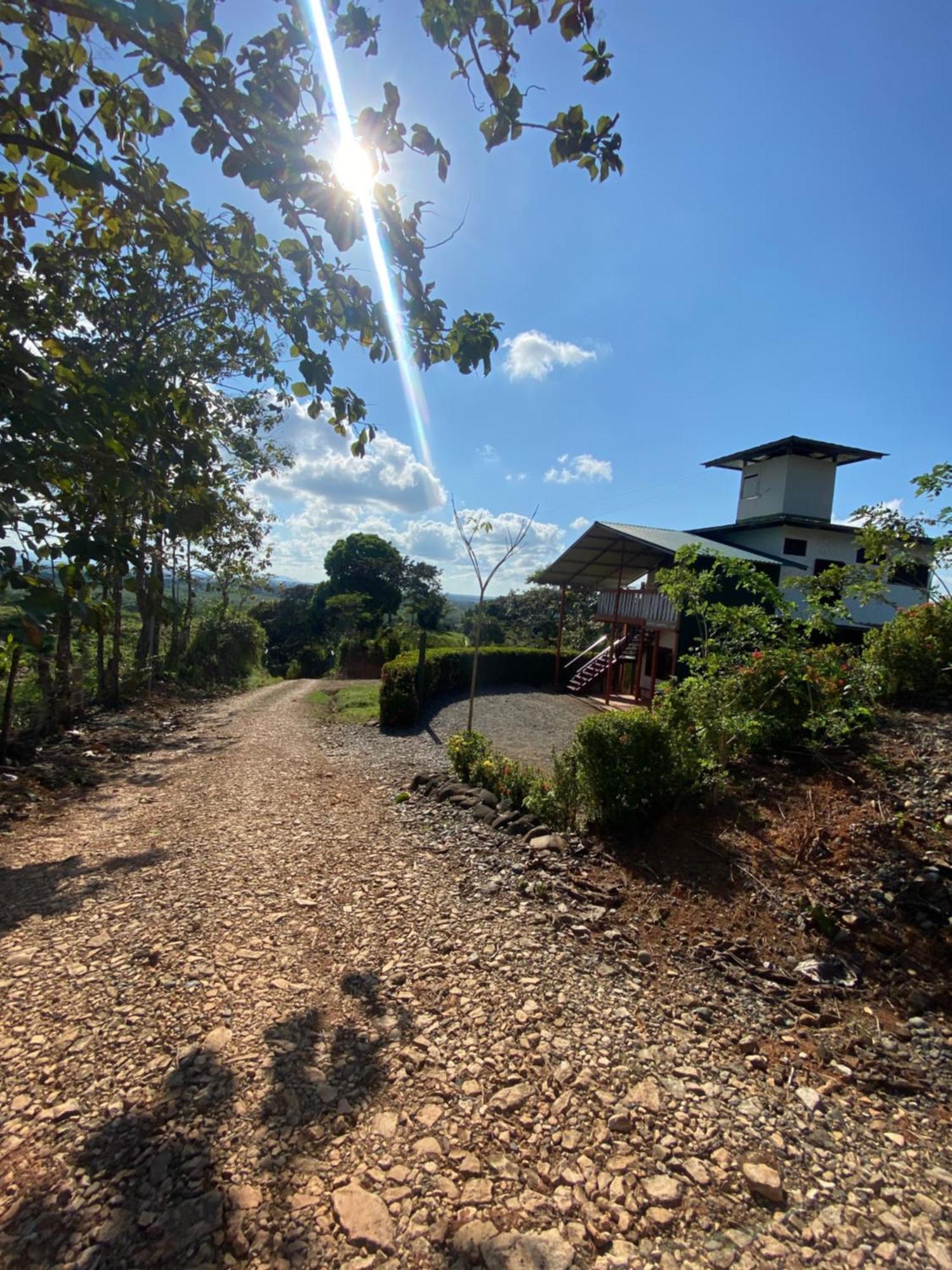 Valles Of Osa Palmar Sur ภายนอก รูปภาพ