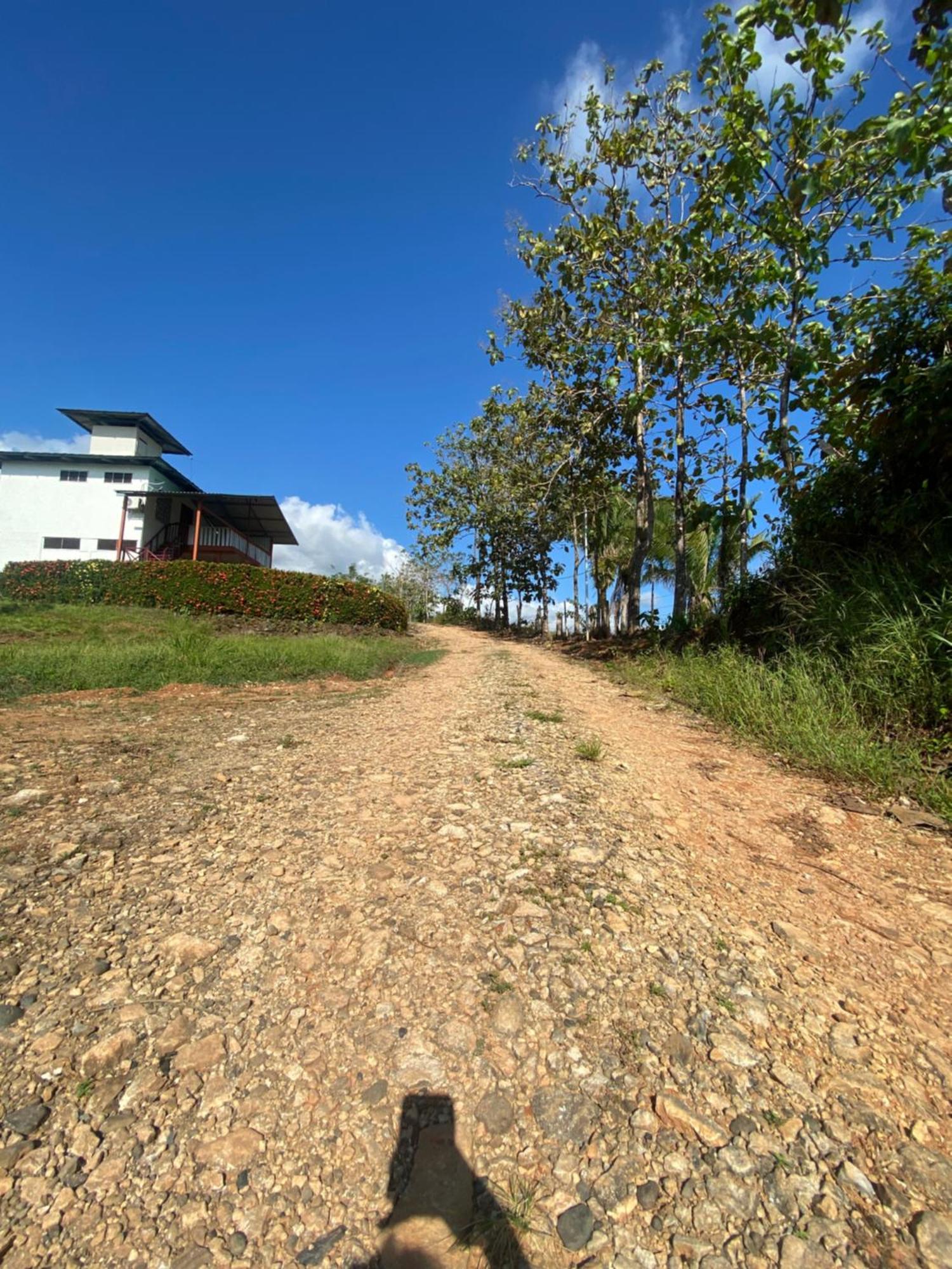 Valles Of Osa Palmar Sur ภายนอก รูปภาพ