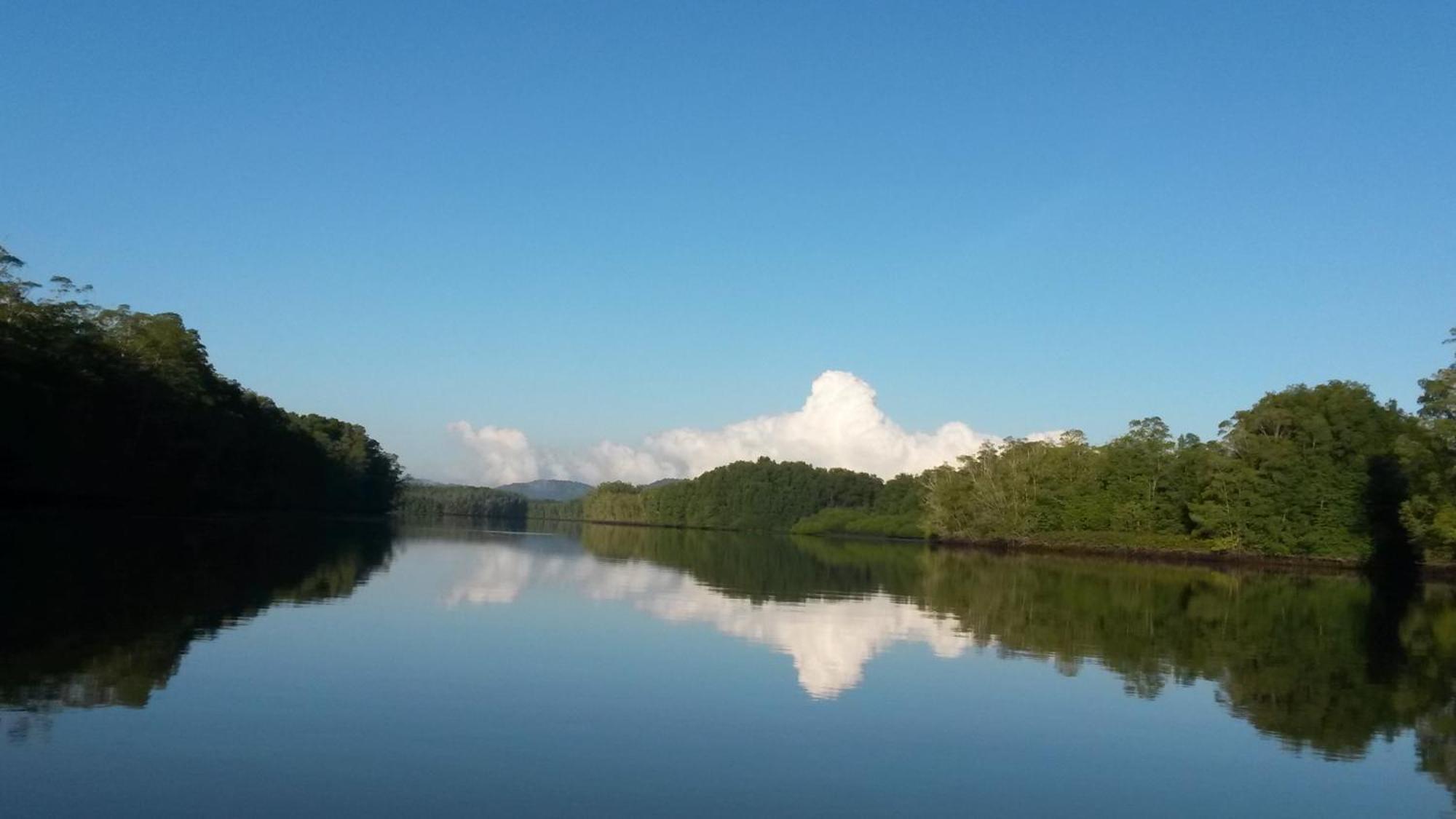 Valles Of Osa Palmar Sur ภายนอก รูปภาพ
